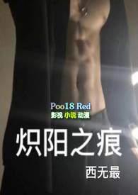 炽阳之痕小说在哪看